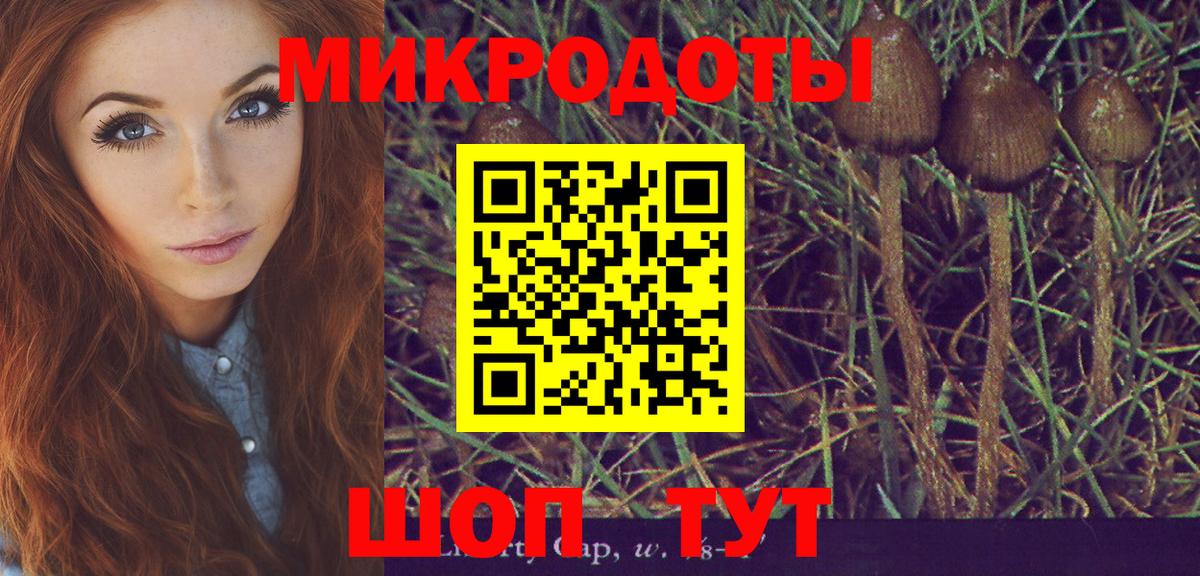 Псилоцибиновые грибы MAGIC MUSHROOMS Гуково