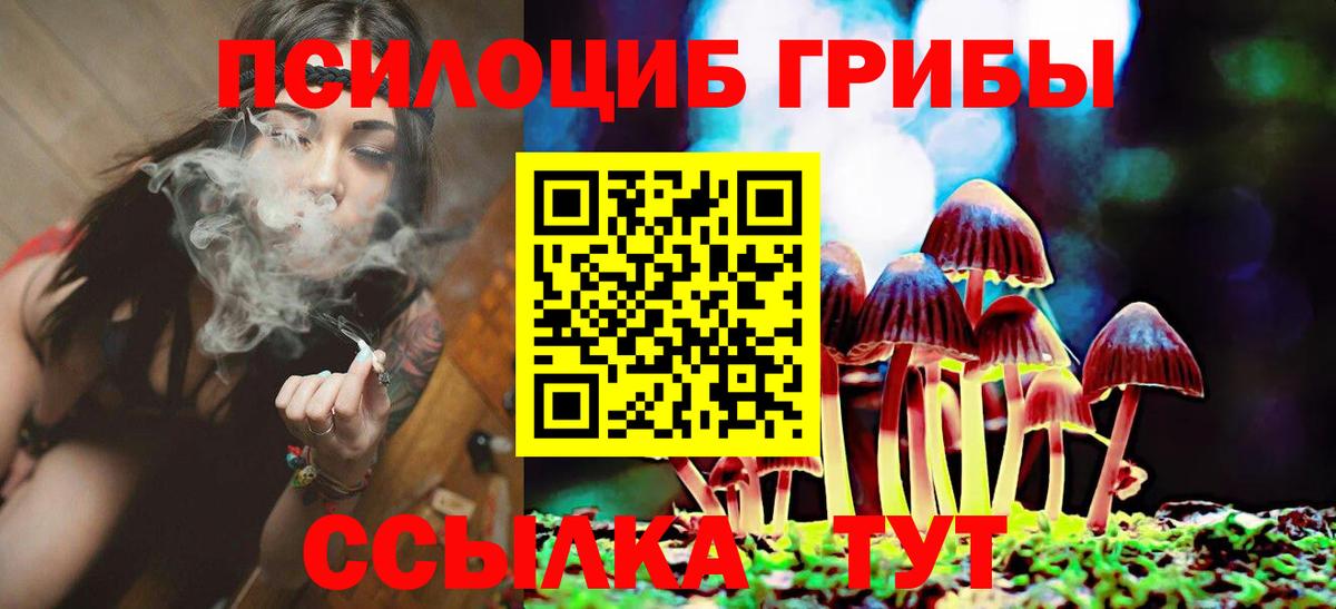 Гуково  Галлюциногенные грибы Cubensis  Вход с VPN 